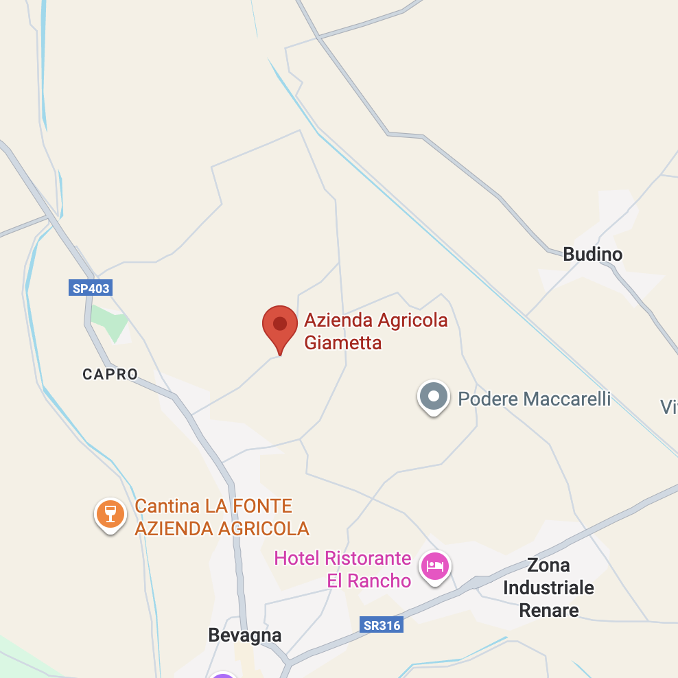 Azienda Agricola Giametta Sicily in Umbria